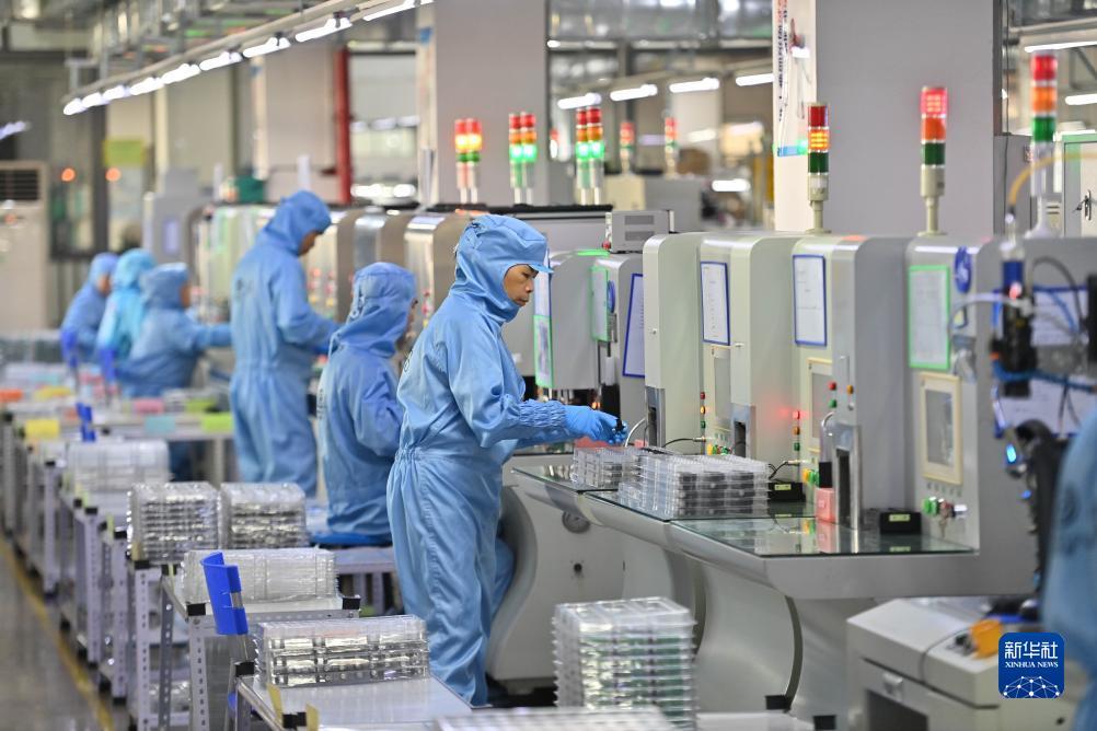 2025年白菜网站大全