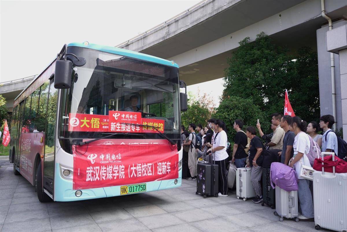 7249金沙怎么打不开