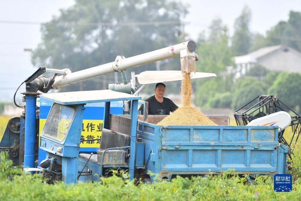 捕鱼达人单机电脑版游戏下载